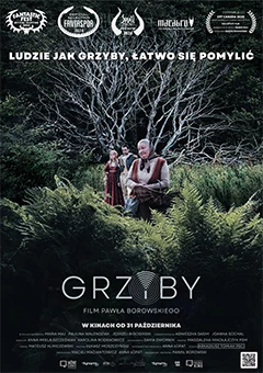 Grzyby